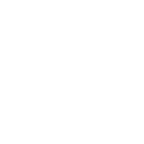 Axion